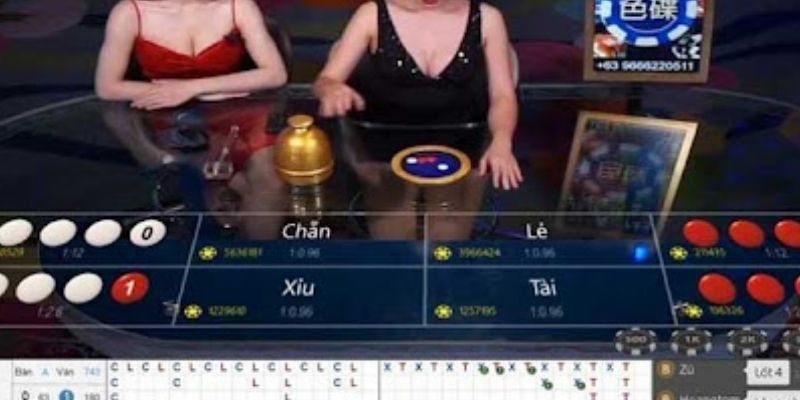 Định hướng phát triển nhà cái