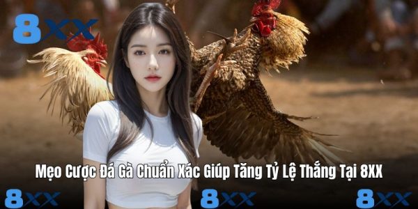 Mẹo Cược Đá Gà Chuẩn Xác Giúp Tăng Tỷ Lệ Thắng Tại 8XX