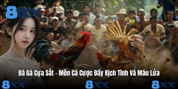 Đá Gà Cựa Sắt – Môn Cá Cược Đầy Kịch Tính Và Máu Lửa